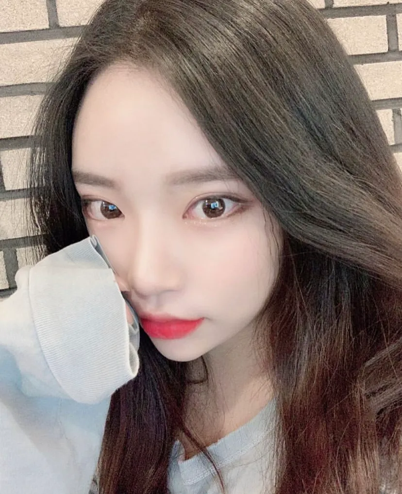 샤머호